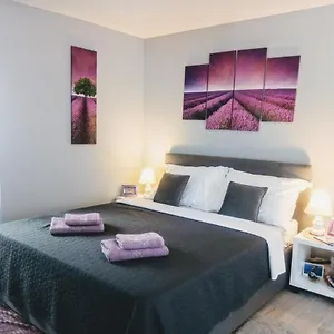 Elly Apartment